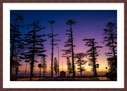 "Dee Why Sunrise"