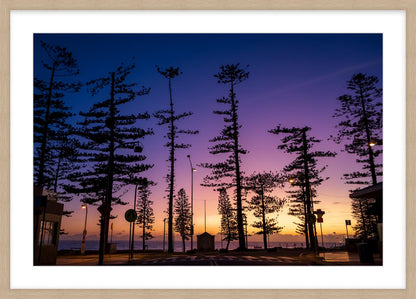 "Dee Why Sunrise"