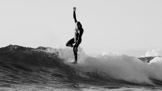 “Young Champion on Nose – Manly Dawn”