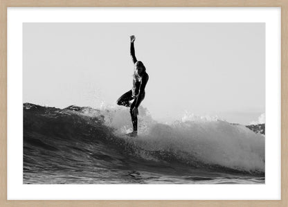 “Young Champion on Nose – Manly Dawn”