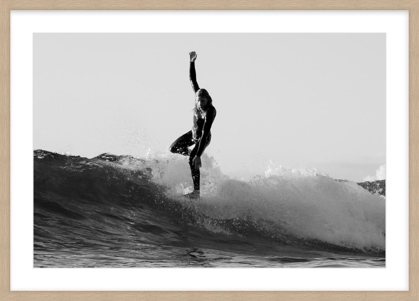 “Young Champion on Nose – Manly Dawn”