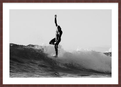 “Young Champion on Nose – Manly Dawn”