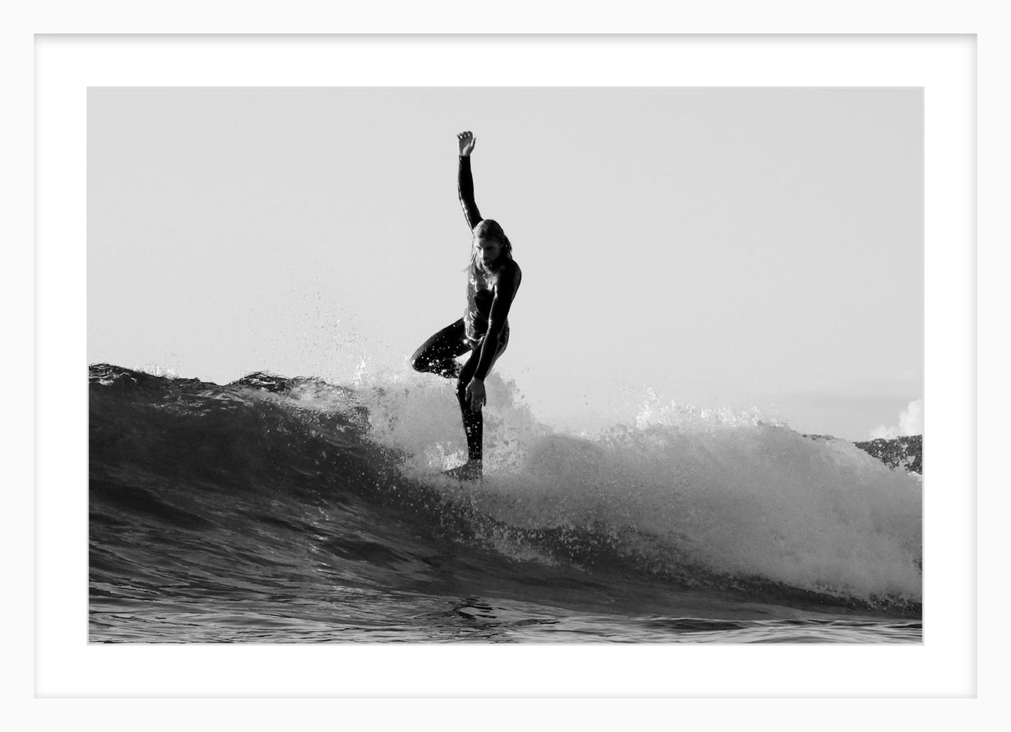 “Young Champion on Nose – Manly Dawn”